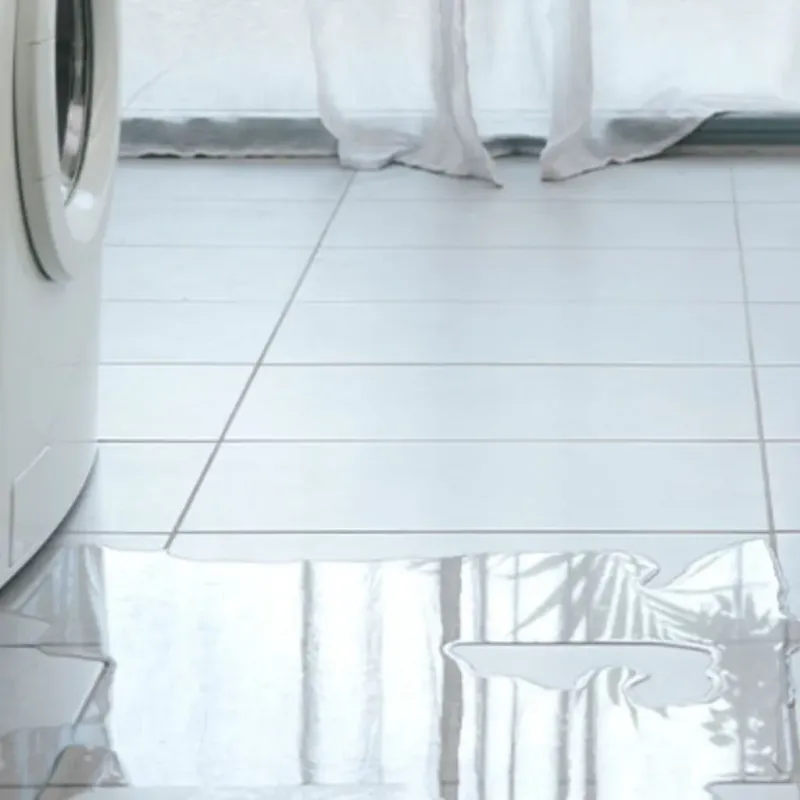 Appliance Leak Cleanup in Liberty County, FL