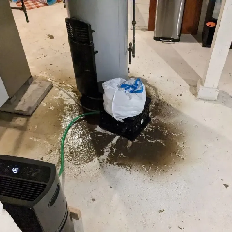 Sewage Backup Cleanup Service in Liberty County, FL